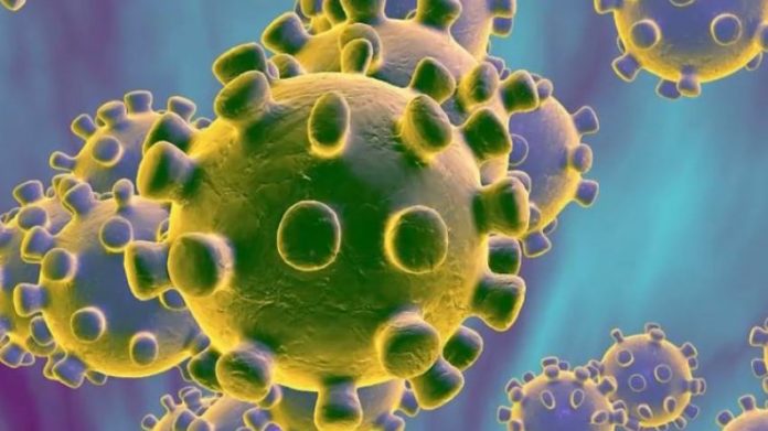  Seis nuevos fallecimientos por coronavirus en RD y 447 casos de contagios