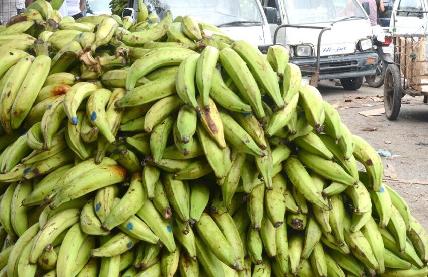  Ministro de Agricultura explica “por qué están caros los plátanos”