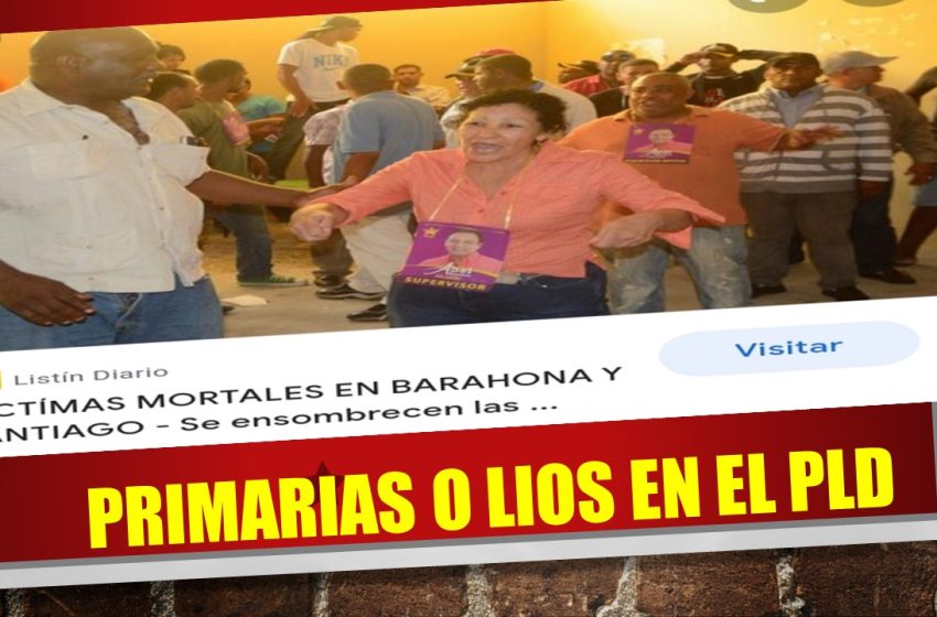  PRIMARIAS O LIOS EN EL PLD