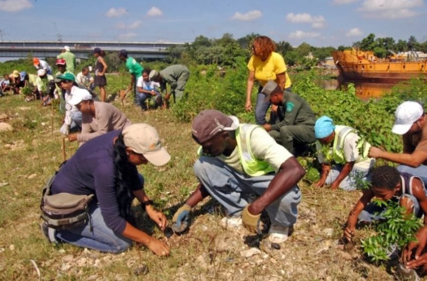  Solo 28 % de dominicanos realiza acciones a favor del medio ambiente, revela encuesta