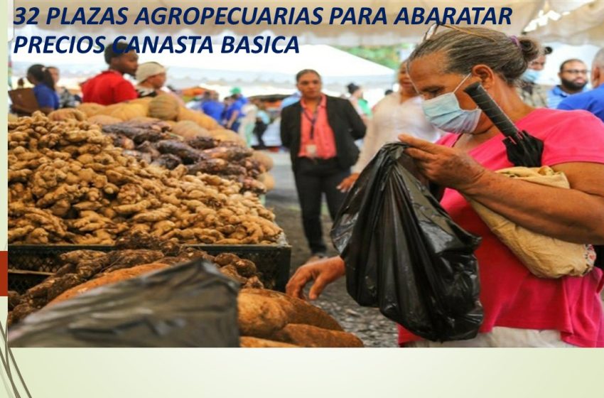  32 PLAZAS AGROPECUARIAS PARA ABARATAR PRECIOS CANASTA BASICA