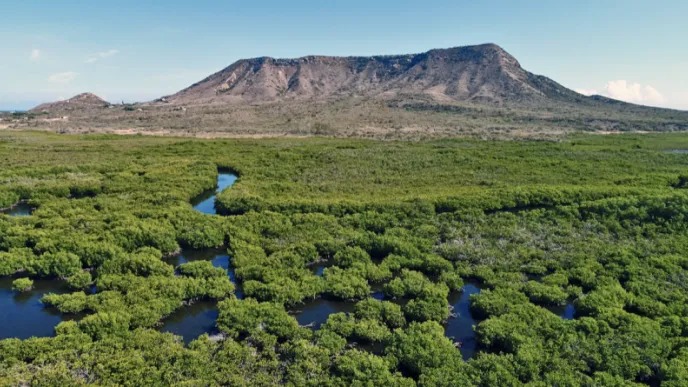  MURO Y MEDIO AMBIENTE. Empresa desafía la ley ambiental y deslinda humedal conectado al Parque Manglares de Estero Balsa