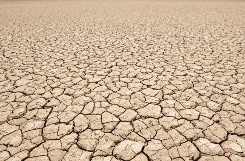  SIN  AGUA ESTAMOS JODIDOS. La misma sequía