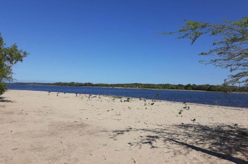  ACABANDO CON MANZANILLO. Academia de Ciencias alerta sobre “justificación” de daños a humedales y playa en Manzanillo