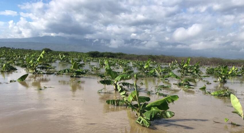  INUNDACIONES. Lluvias inundaron pueblos, destruyeron cultivos, viviendas, puentes y calles en el Sur