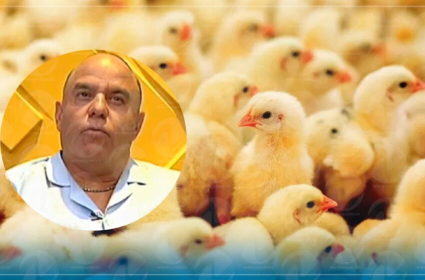  EXPEDIENTE DEL ESPOSO DE LA DIPUTADA. Micky López y su genio para construir un imperio billonario a partir de 1800 pollitos