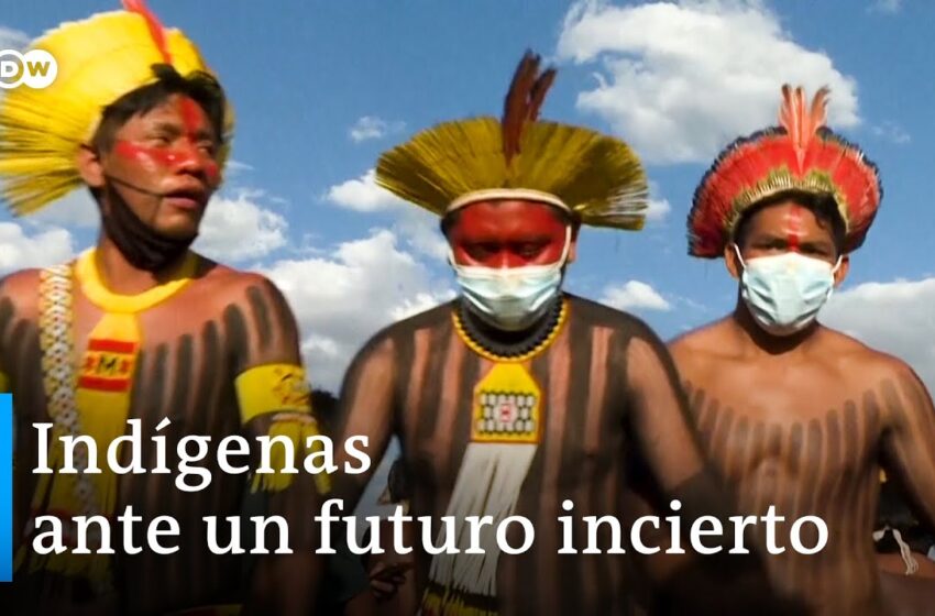  INDÍGENAS GANAN RESPETO MEDIAOAMBIENTE EN BRASIL.