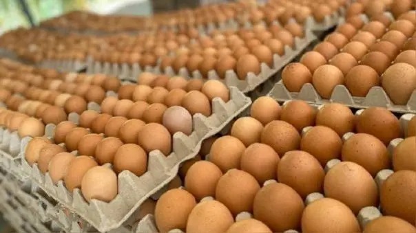  PIDEN RESTABLECER COMERCIO CON HAITÍ, Piden concentrar esfuerzo en restablecer comercio con Haití