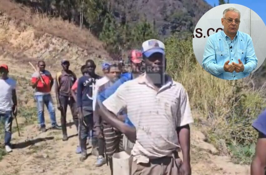  HAITANOS DEFORESTAN PARQUES NACIONALES